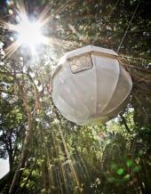 NEU! Der Cocoon tree, das Baumzelt 