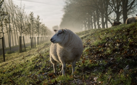 Passivhaus Was ist ein Das aus Sicht der Baubiologie