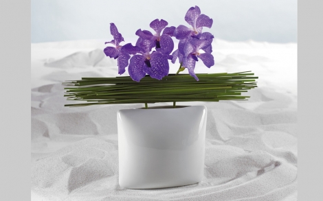 Porzellan und Geschirr Design Rosenthal 50 Jahre Studio Line Kissenvase R Nairac 1981