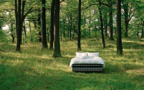 Luxusmoebel Luxusbetten von Haestens Luxusbett Vividus