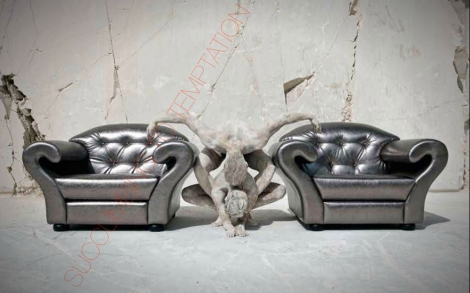 Italienische Designermoebel Sessel und Sofa von VG LUIGI