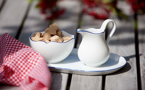 Porzellan und Geschirr Design Rosenthal Hutschenreuther Zucker Milch Ann Marie Blue Line